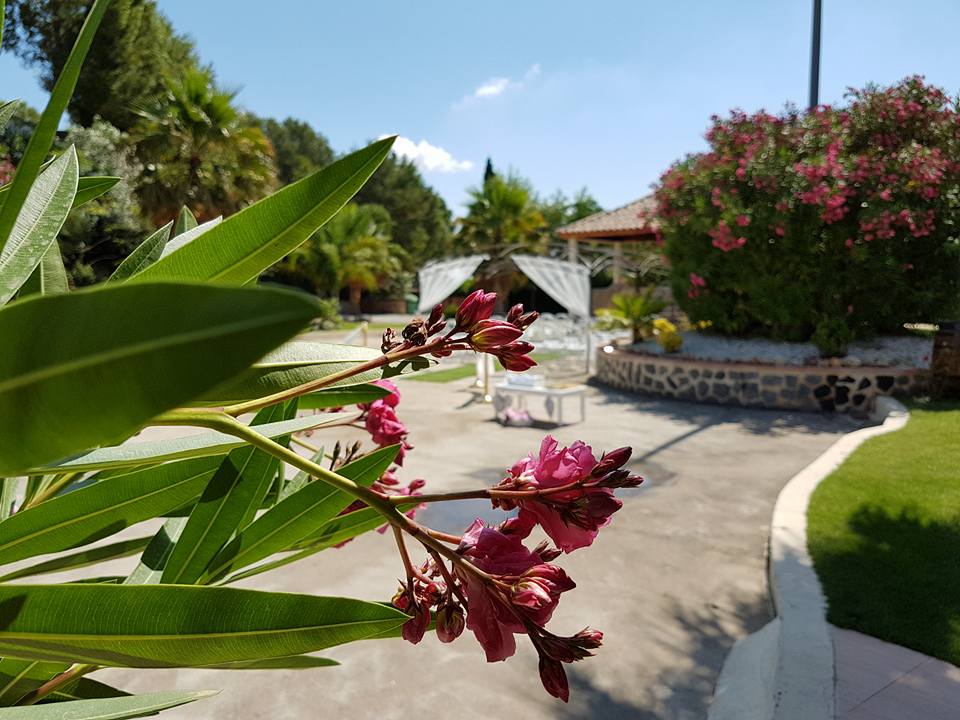 finca boda valencia